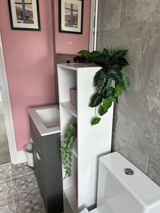 Three Storey Clifton Town House Bristol Ngoại thất bức ảnh